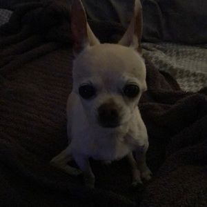 Meet your Posher, Tina